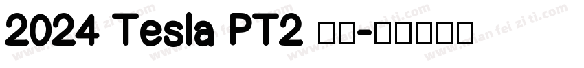 2024 Tesla PT2 留念字体转换